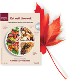 Cover of Canadaâ€™s Food Guide, a reference Canadians can use to make healthy food choices, with maple leaf behind it